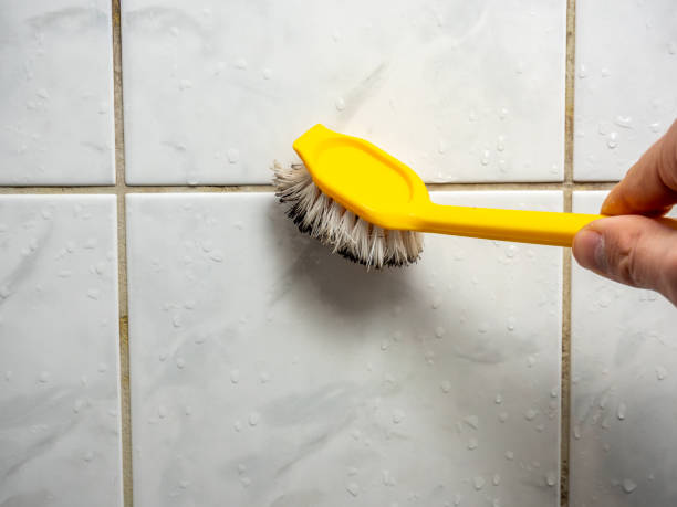 Best Basement Mold Remediation in Holly, MI